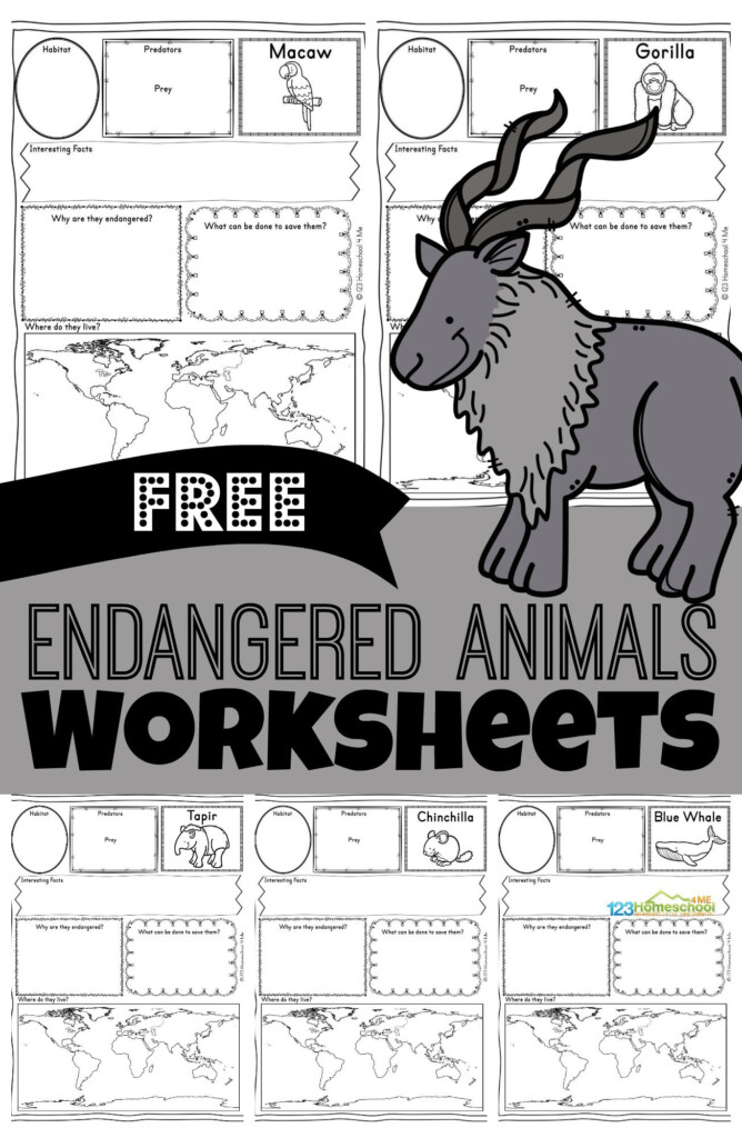 FREE Endangered Animals Worksheets