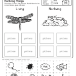 FREE NO PREP Kindergarten Science SAMPLER By Science Doodles Free