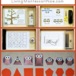 FREE Owl Printables And Activities Free Homeschool Deals