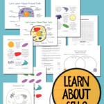 FREE Plant And Animal Cell Printables Free Homeschool Deals