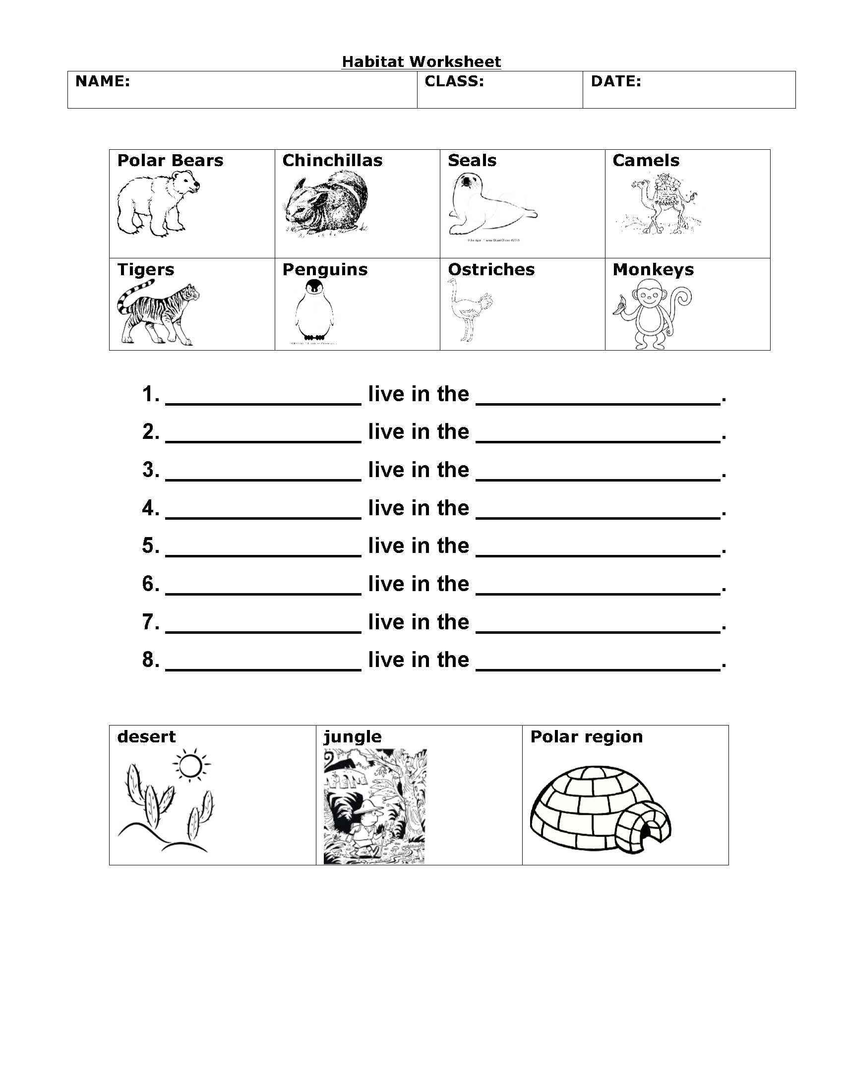 free-printable-first-grade-science-worksheets-scienceworksheets