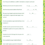 Free Printable 6th Grade Science Worksheets With Answer Key