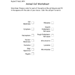 Free Printable 7th Grade Life Science Worksheets Elaine News