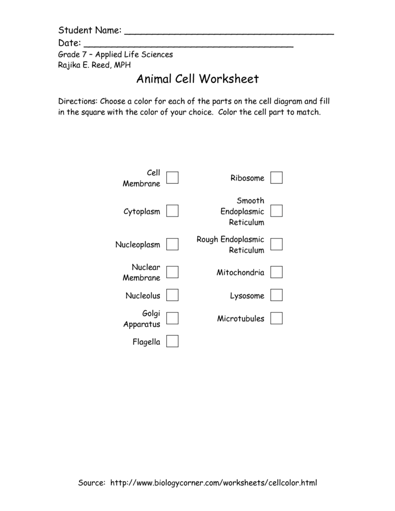 Free Printable 7th Grade Life Science Worksheets Elaine News