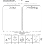 Free Printable Living And Nonliving Things Worksheet For Kindergarten