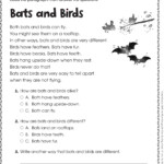 Free Printable Reading Comprehension Worksheets For Kind Free