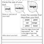 Free Printing Worksheets Colors For Training Fall Science Science