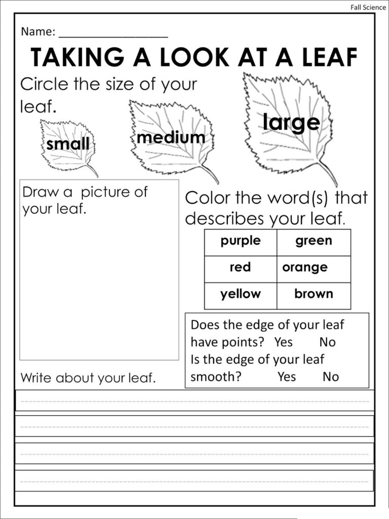 Free Printing Worksheets Colors For Training Fall Science Science 