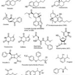 Functional Group Practice Worksheet Naming Organic Pounds With