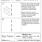 GCSE Biology Diffusion Osmosis And Active Transport Worksheet Pack