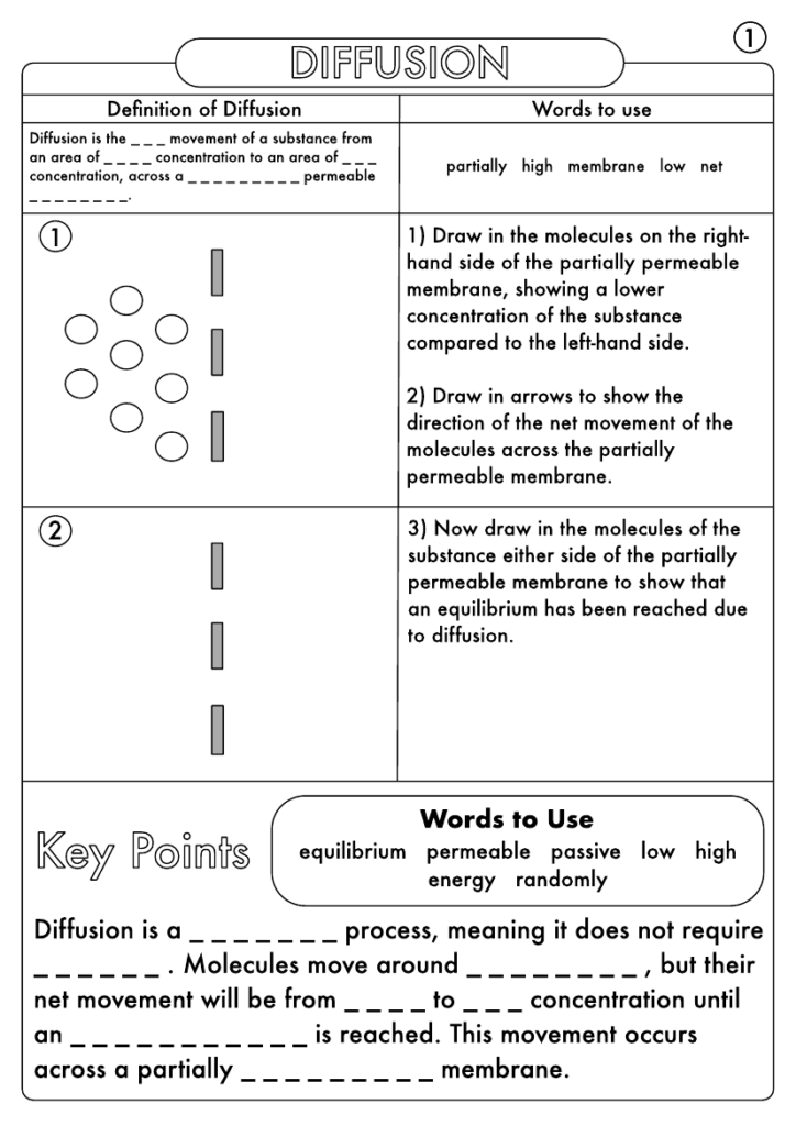 GCSE Biology Diffusion Osmosis And Active Transport Worksheet Pack 