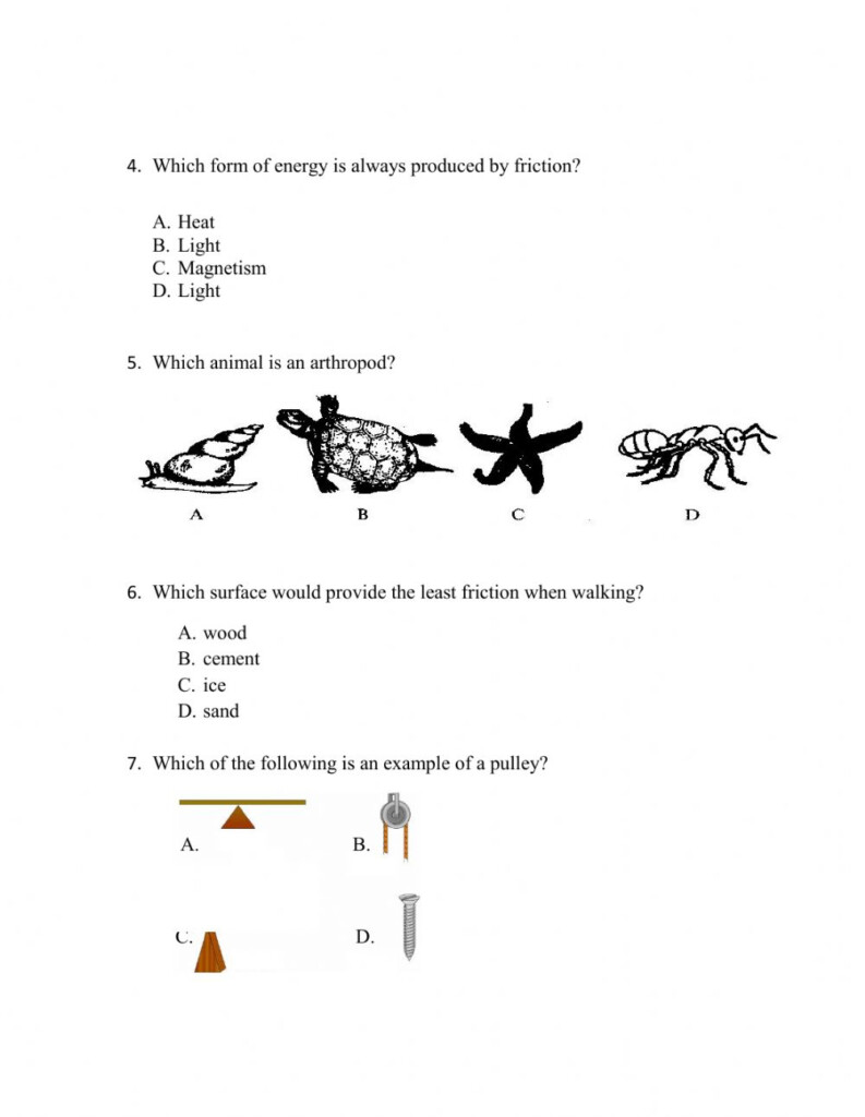 General Science Review Of Grade 8 Topics Worksheet