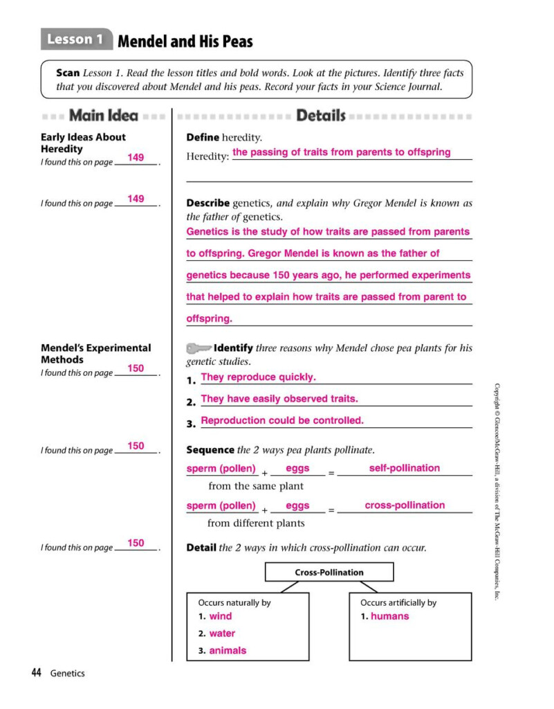 Glencoe Mcgraw Hill Science Grade 8 Worksheets Answers TUTORE ORG 