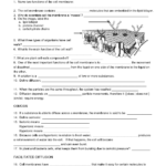 Glycolysis Biology 10th Grade Worksheet Printable Worksheets And