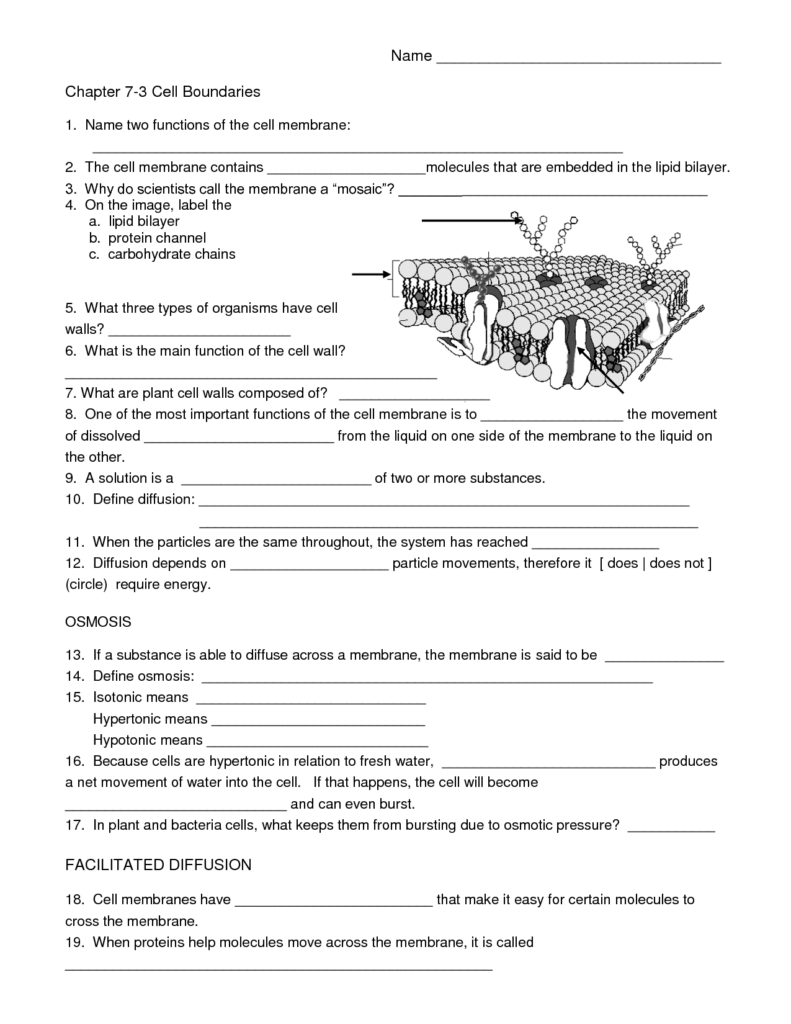 Glycolysis Biology 10th Grade Worksheet Printable Worksheets And 