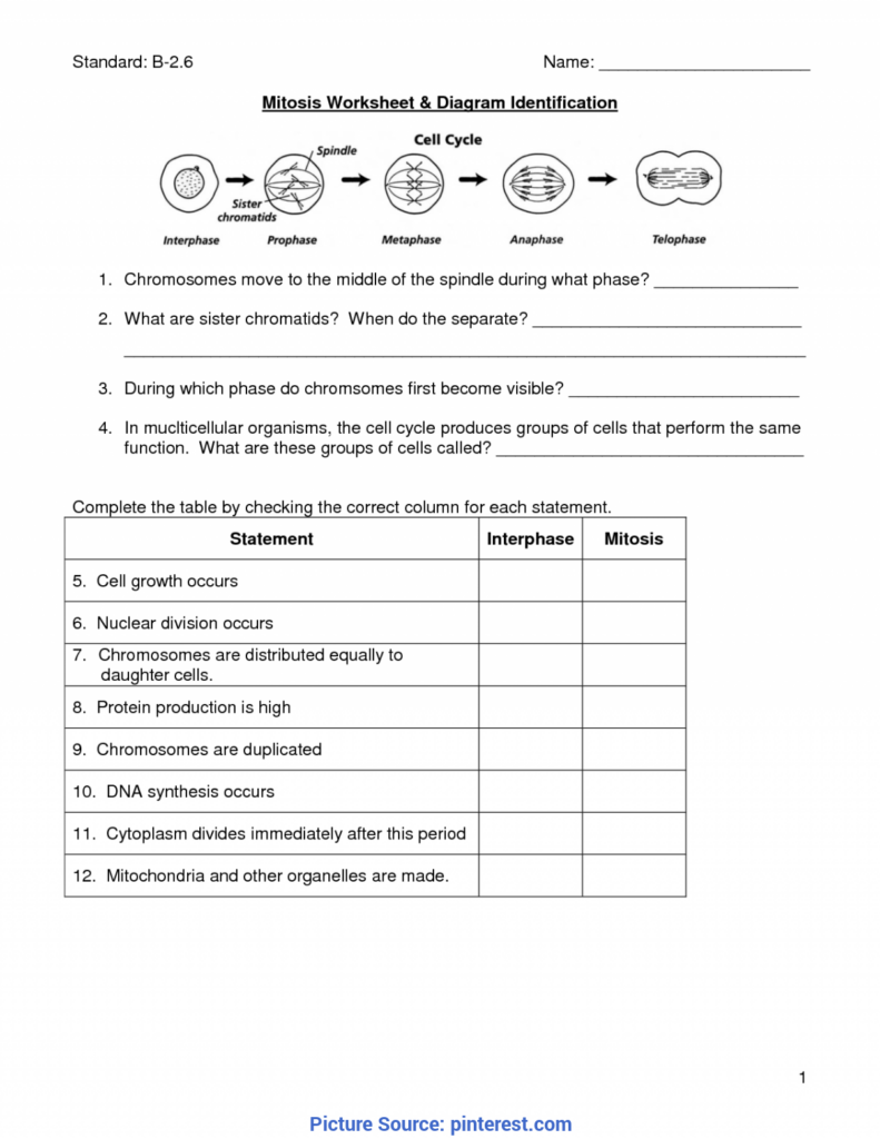 Good Lesson Plan For Life Science Grade 11 Mitosis Worksheet Cells 