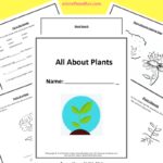 Grab 5 Free Printable Plant Worksheets