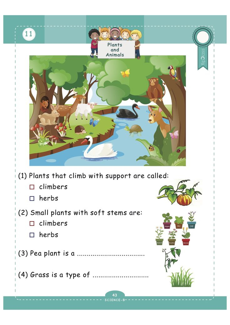 Grade 1 Free Printable Worksheet First Grade Reading Comprehension