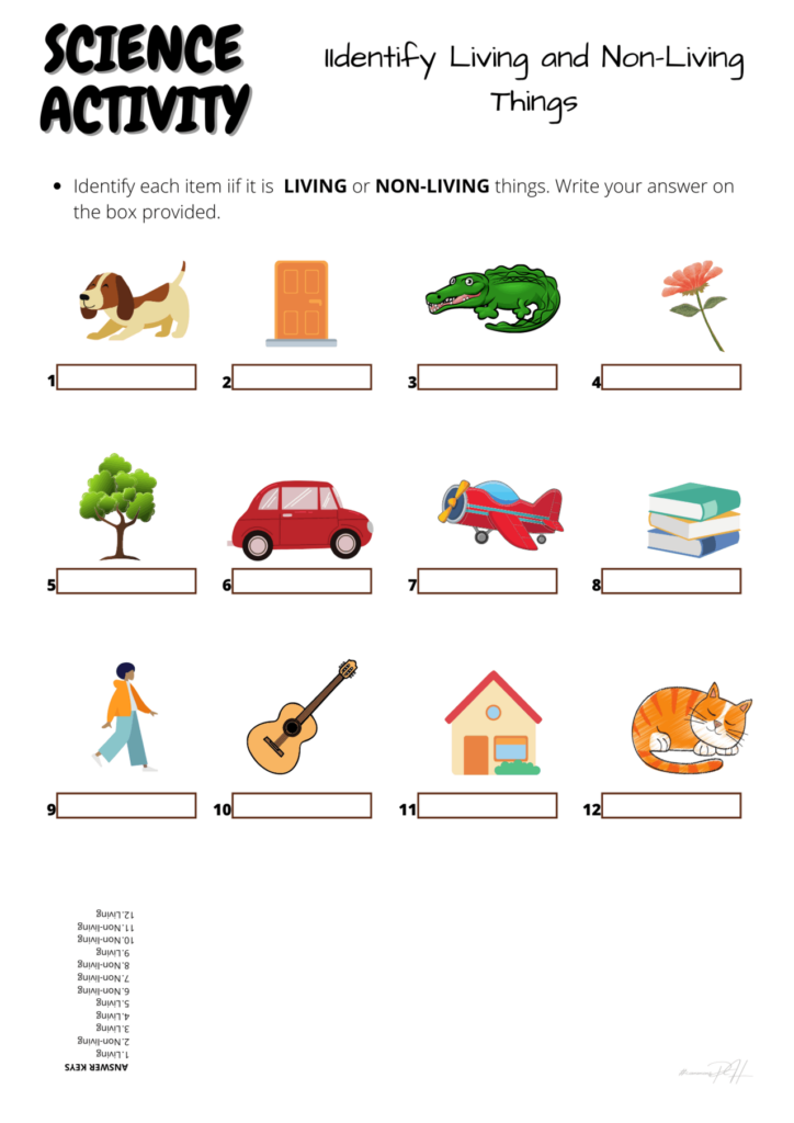 Grade 1 Science Activity Sheets Living And Non Living Things 1 