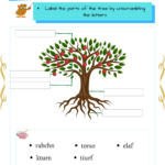 Grade 1 Science Activity Sheets Parts And Stages Of A Plant