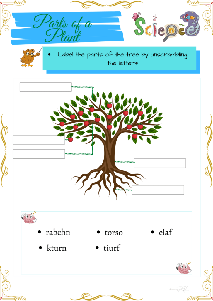 Grade 1 Science Activity Sheets Parts And Stages Of A Plant 