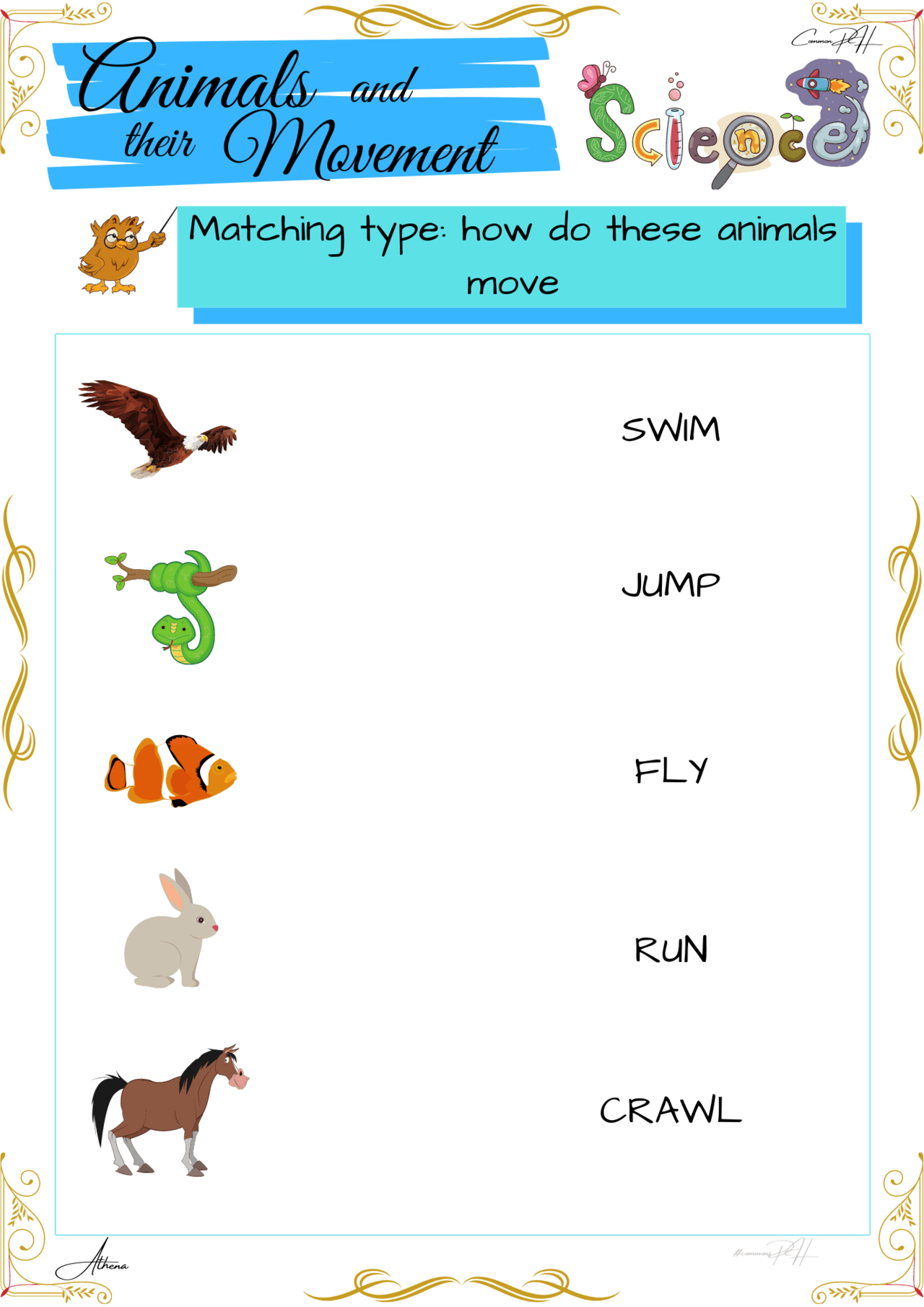 Grade 1 Science Worksheet How Animals Move