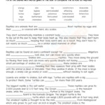 Grade 4 Science Worksheet Cloze In PDF On Animals Useful For