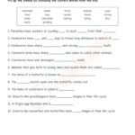 Grade 4 Science Worksheet PDF On Animals For Science Olympiad Exam