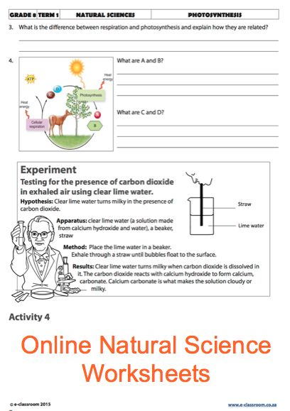 Grade 8 Online Natural Science Photosynthesis For More Worksheets