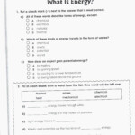 Grade 8 Science Worksheets Printable Printable Worksheets