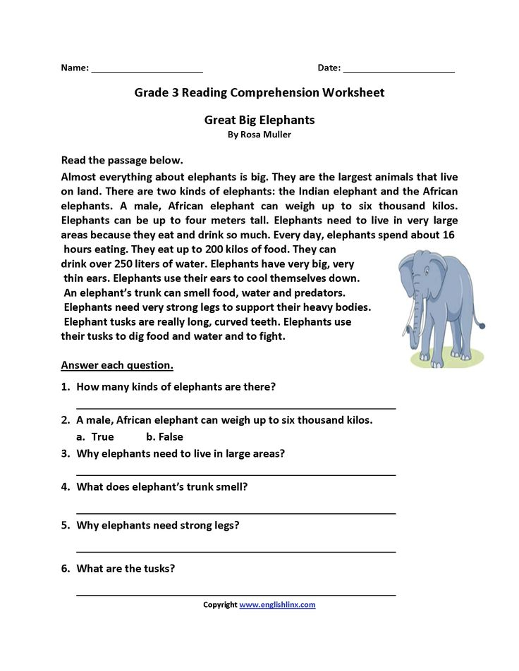 Great Big Elephants Third Grade Reading Worksheets Reading In 2020 