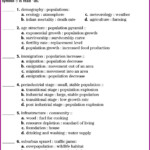 Holt Environmental Science Skills Worksheet Answer Key Worksheet