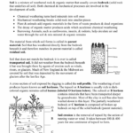 How Is Soil Formed Worksheets 99Worksheets