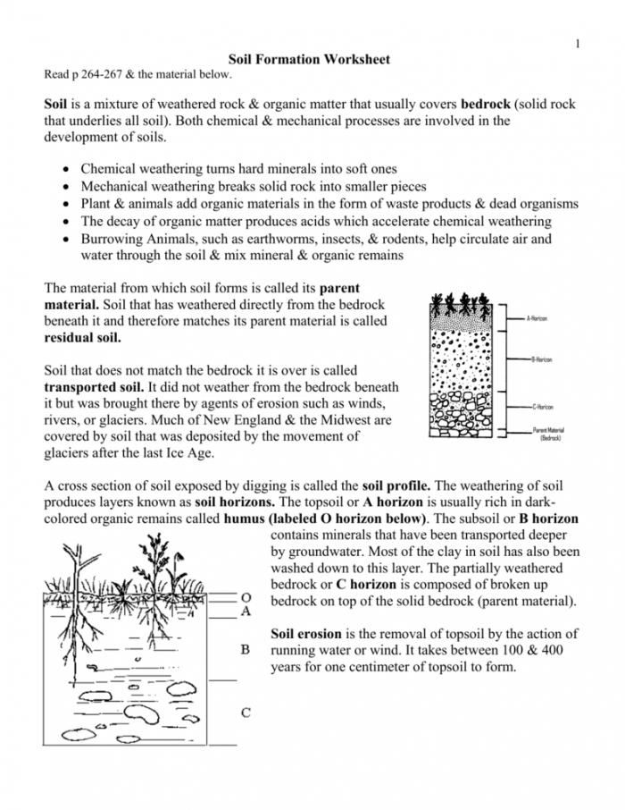 How Is Soil Formed Worksheets 99Worksheets