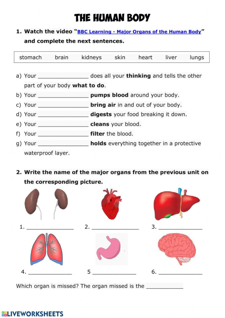 Human Body Online Activity For Grade 3 You Can Do The Exercises Online 