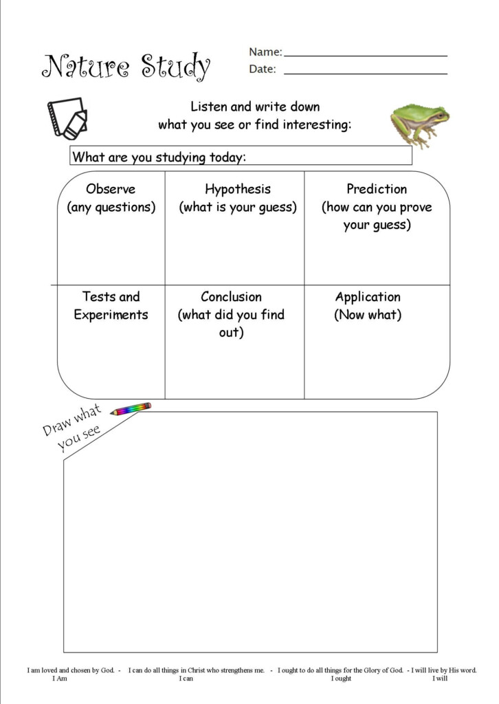 I Made This Nature Study Worksheet And Added In The Scientific Method 