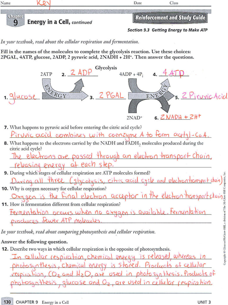 IB Biology Solalto 9th Grade 3rd MP