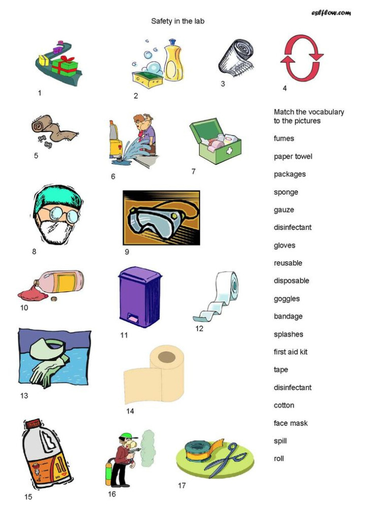 Image Safety equipment vocabulary worksheet Science Lab Safety 