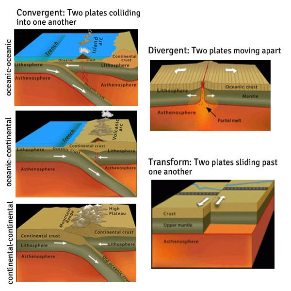 In This Simple Modeling Plate Tectonics Activity Students Will Model 