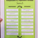 Independent Vs Dependent Variable Card Sort Activity For Algebra 1 or