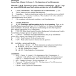 Introduction To Life Science Worksheet Answers Worksheet List