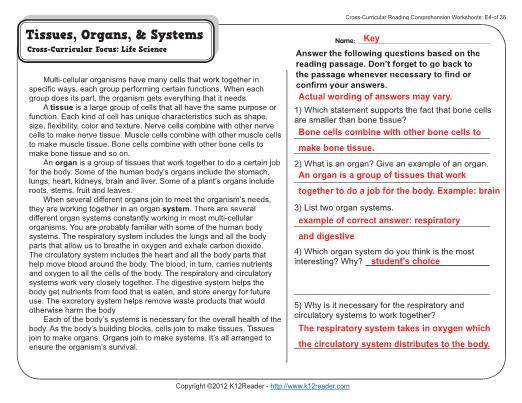 K12reader Answer Key Preschool K Worksheets