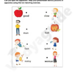 Kindergarten Science Worksheets Pdf Free Download Try This Sheet