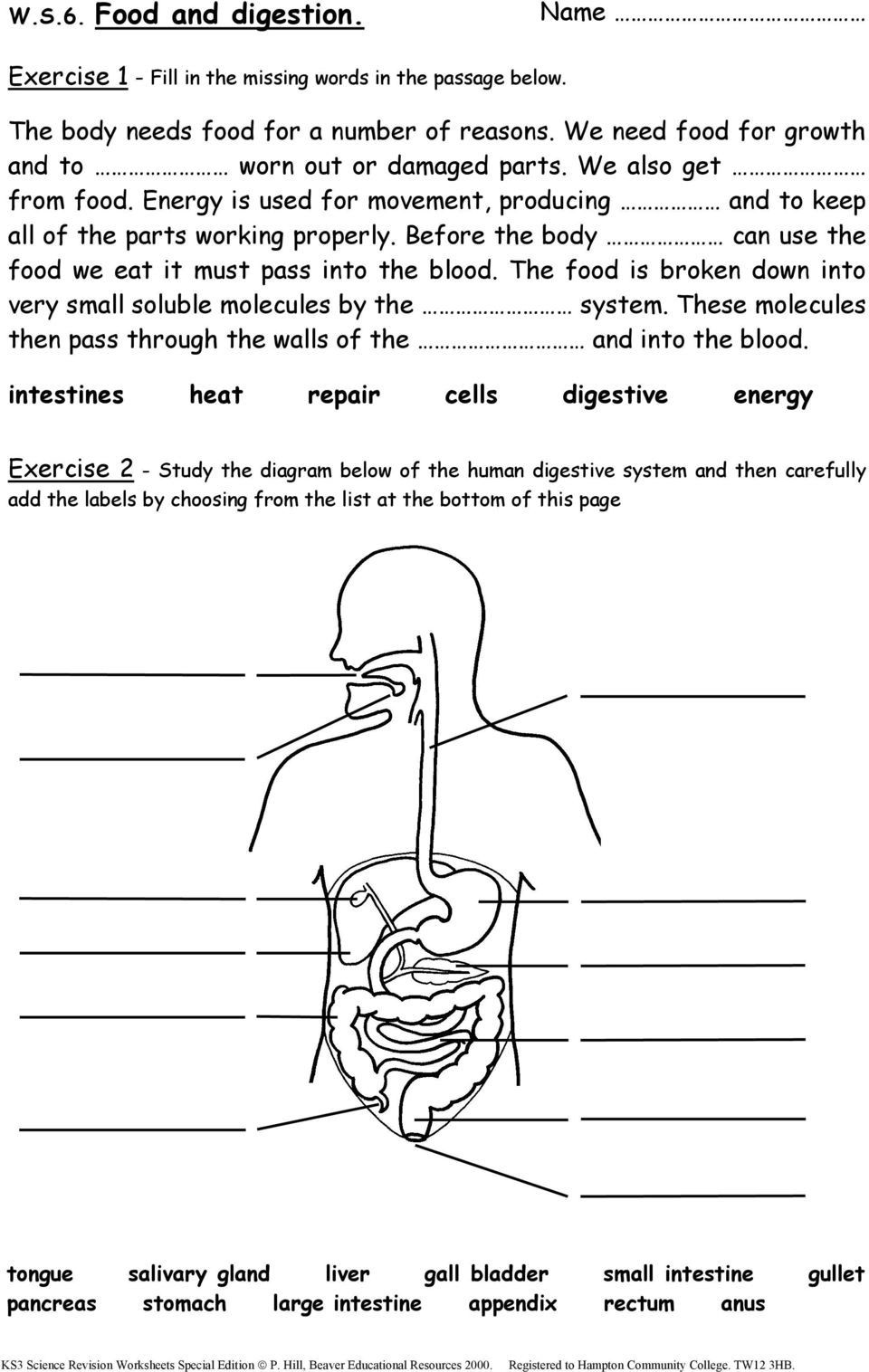 Ks3 Science Free Worksheets