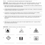 Lab Safety Worksheets 99Worksheets