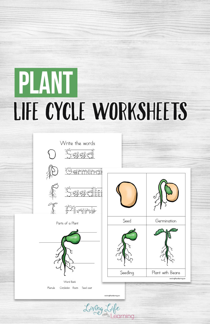 Letter Q Worksheet 18 Simple Ways The Pros Use To Promote Plant 