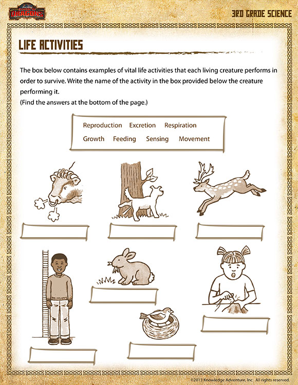 Life Activities View Printable Science Worksheet For 3rd Grade EZ 