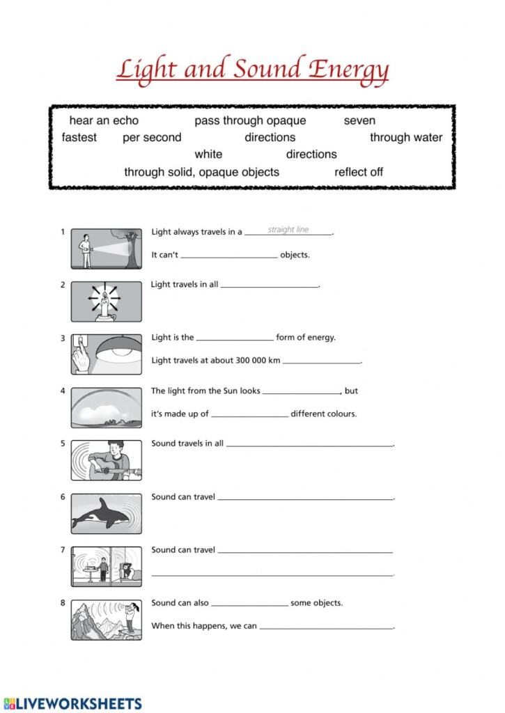 Light And Sound Energy Interactive Worksheet