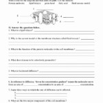 Lipids Worksheet Answer Key Worksheet