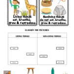 Living And Non living Things Interactive Activity For Grade 4 You Can